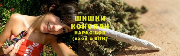 дурь Ельня