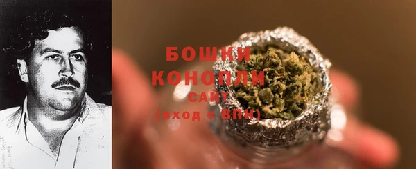 дурь Ельня