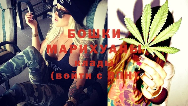 дурь Ельня