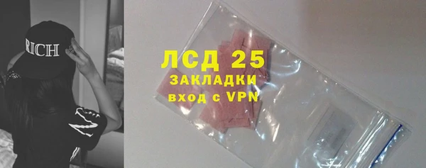 дурь Ельня