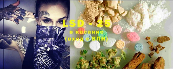 дурь Ельня