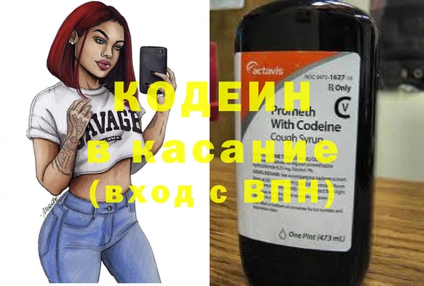 дурь Ельня
